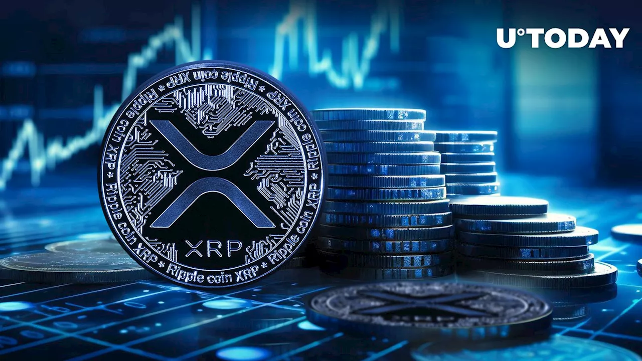 Over $20 Million in XRP Shifted to Mysterious Wallets: Details