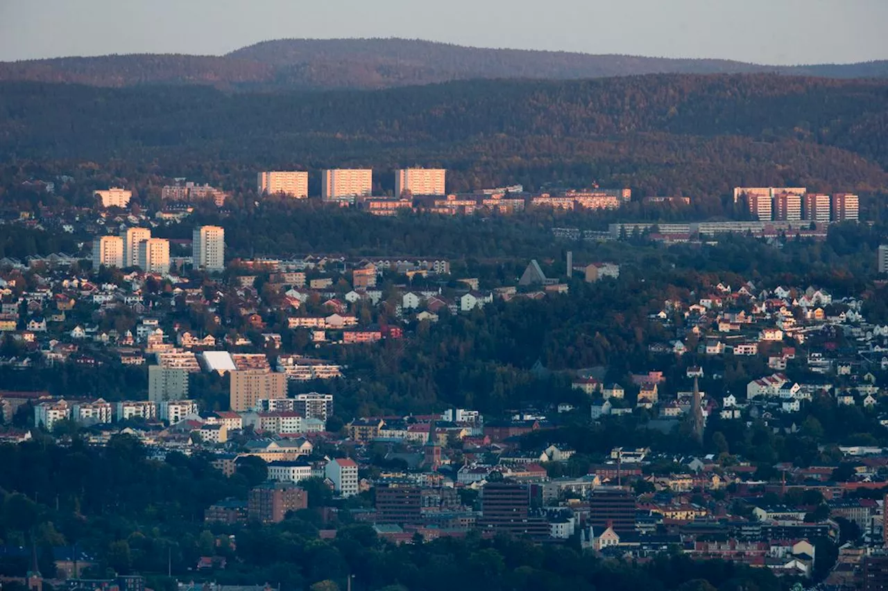 Oslo-rektor angrepet av mindreårig gutt