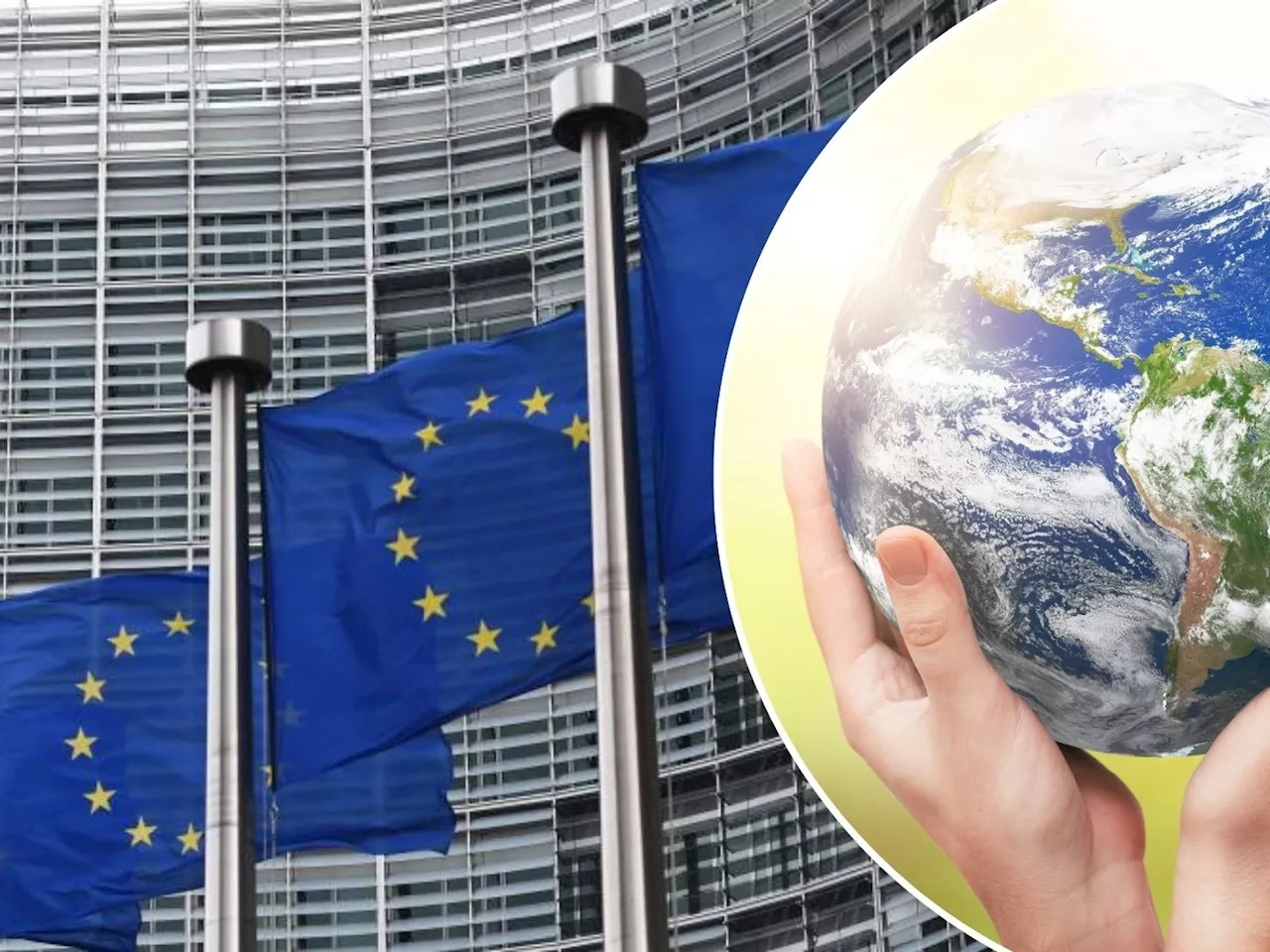 EU-Wahl: Das sagen die EU-Parteien zur Klimapolitik