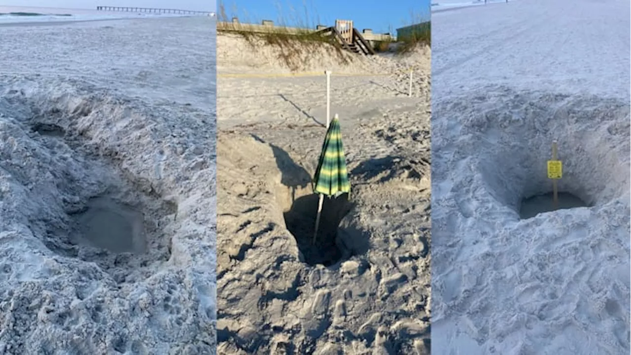 St. Johns County sends out reminder to beachgoers about sea turtle nesting season