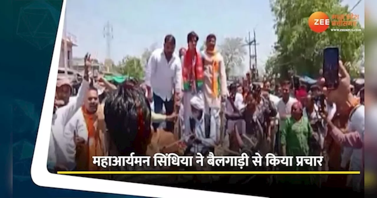 Election Video: बैलगाड़ी से महाआर्यमन सिंधिया ने किया प्रचार, JCB से बरसे फूल