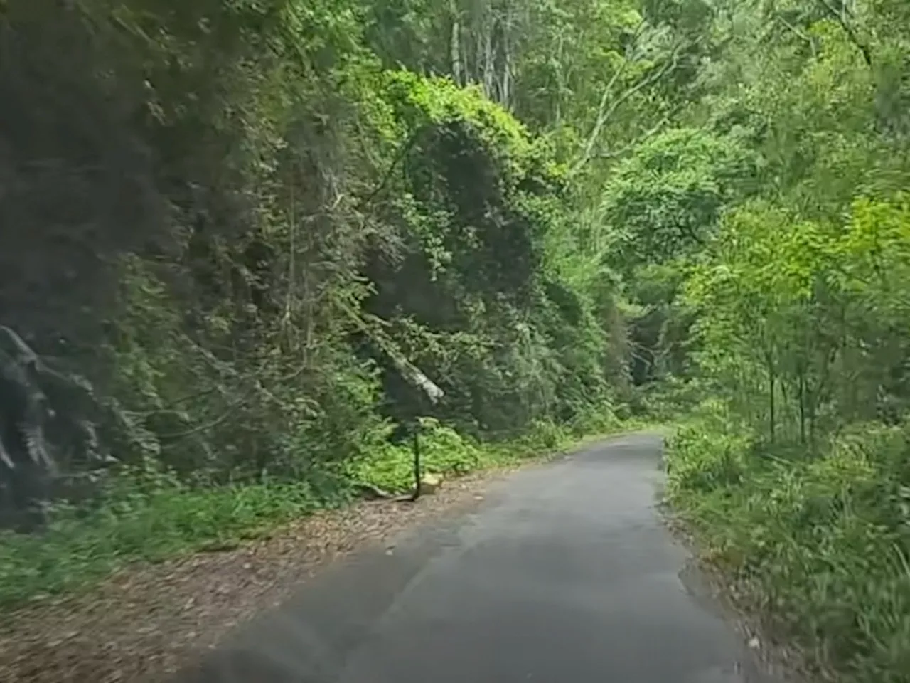 Video Shows Stark Difference Between Road Going From Western Cape Into The Eastern Cape