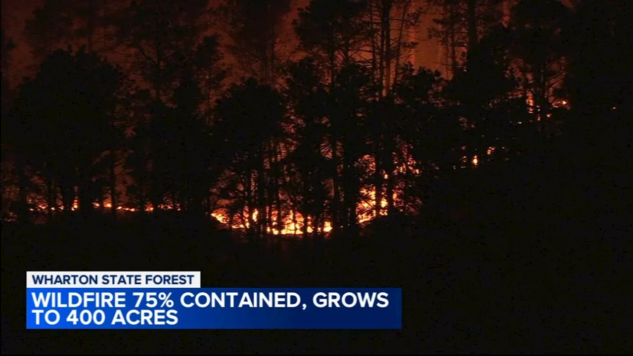 Wildfire in Wharton State Forest between Camden and Burlington counties 100% contained: officials