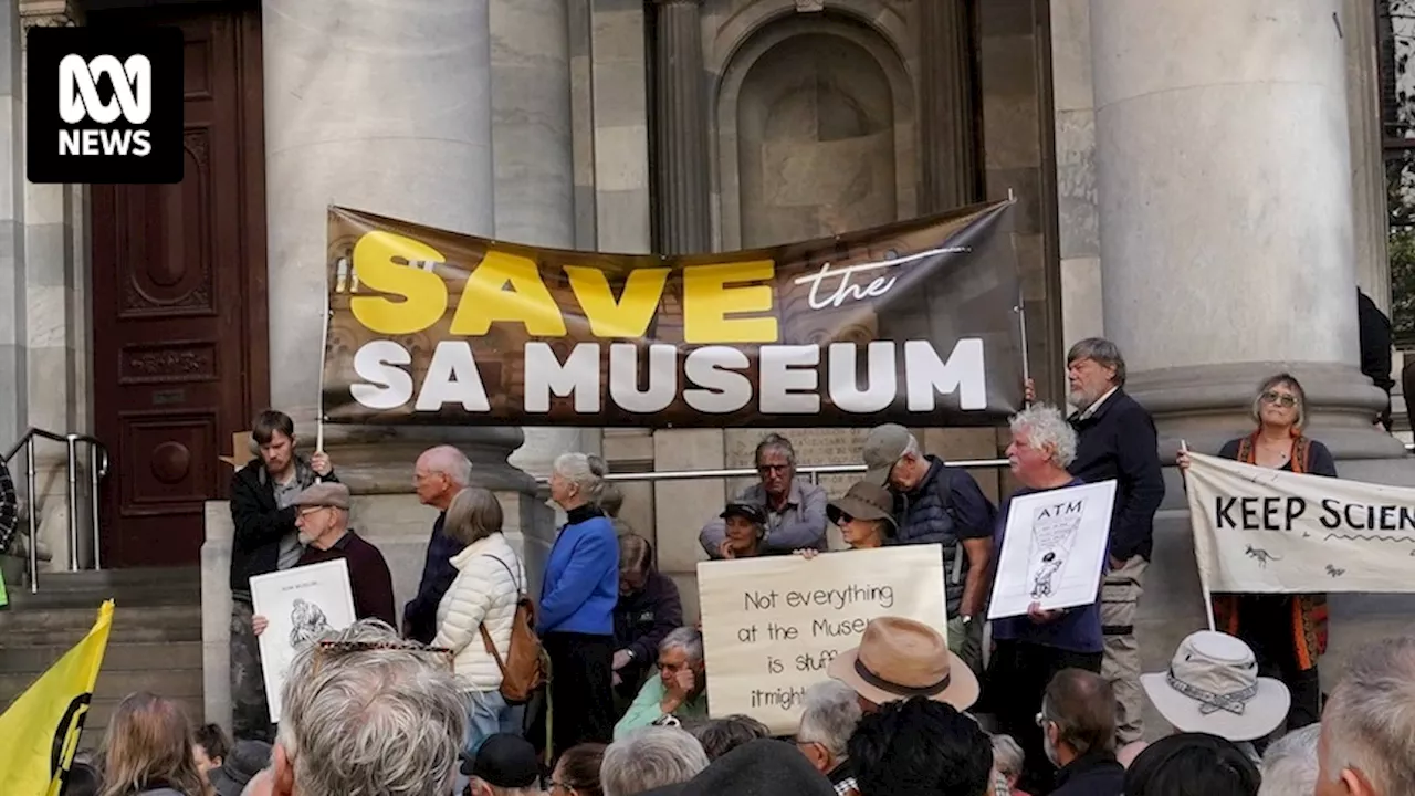 South Australian Museum restructure on hold as state government launches review