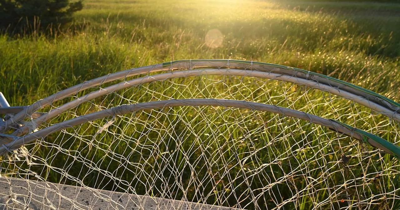 Photos: A day at the Kenai River dipnet fishery