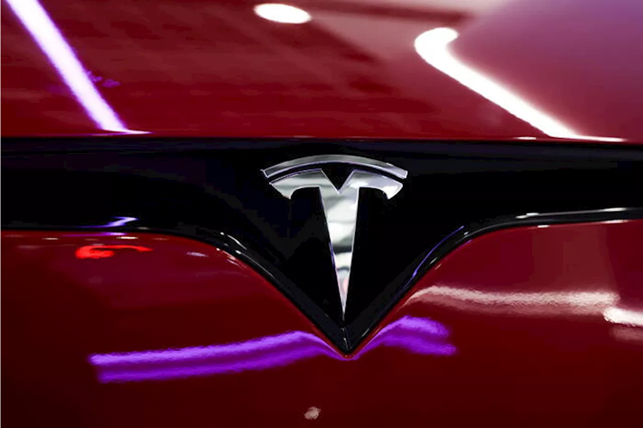 Tesla, Musk accelera sulle auto economiche