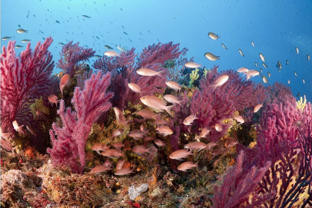 Aquarium: Trotz massiver Kritik beginnen die Bauarbeiten für „Ocean Berlin“ an der Rummelsburger Bucht.