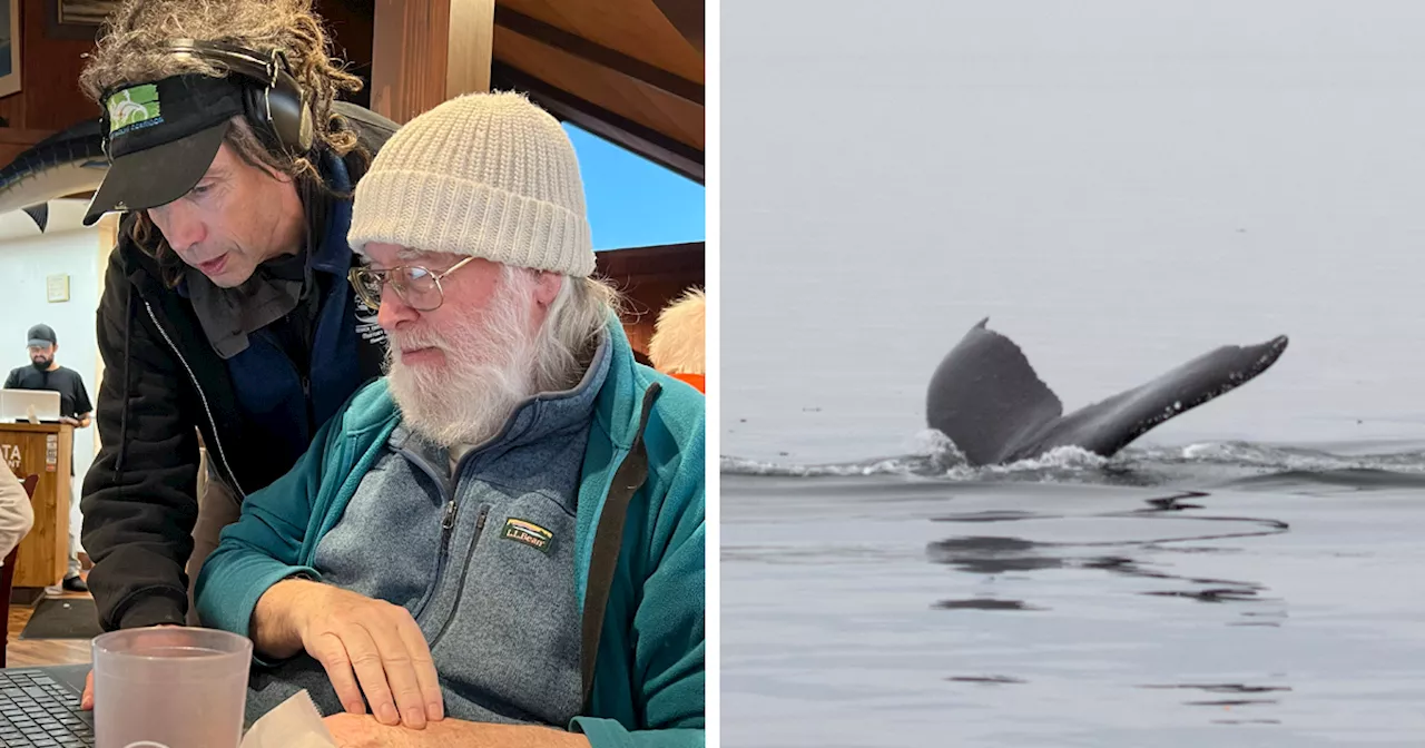 Scientists Hold A 20-Minute ‘Conversation’ With A Whale Named Twain In His Own Language