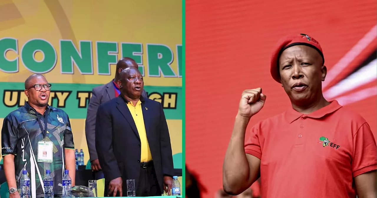 Malema Calls ANC Leaders His ‘Boys’ While Netizens Say He's Accepted Defeat Before Even Trying