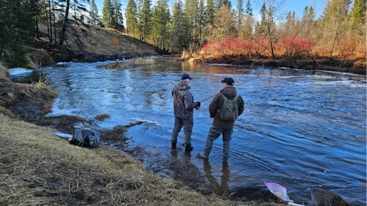 These anglers are helping sustain Thunder Bay, Ont.'s 'world-class' urban fishing spots