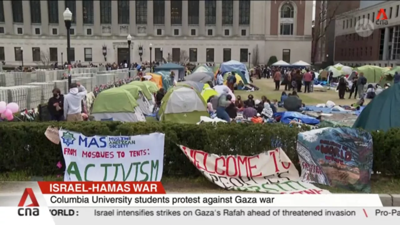 Over 100 arrested after pro-Palestine protests at US universities