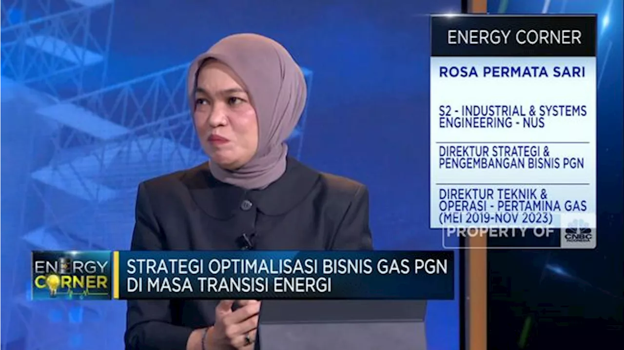 PGN Siapkan 3 Strategi Prioritas Genjot Bisnis Gas!