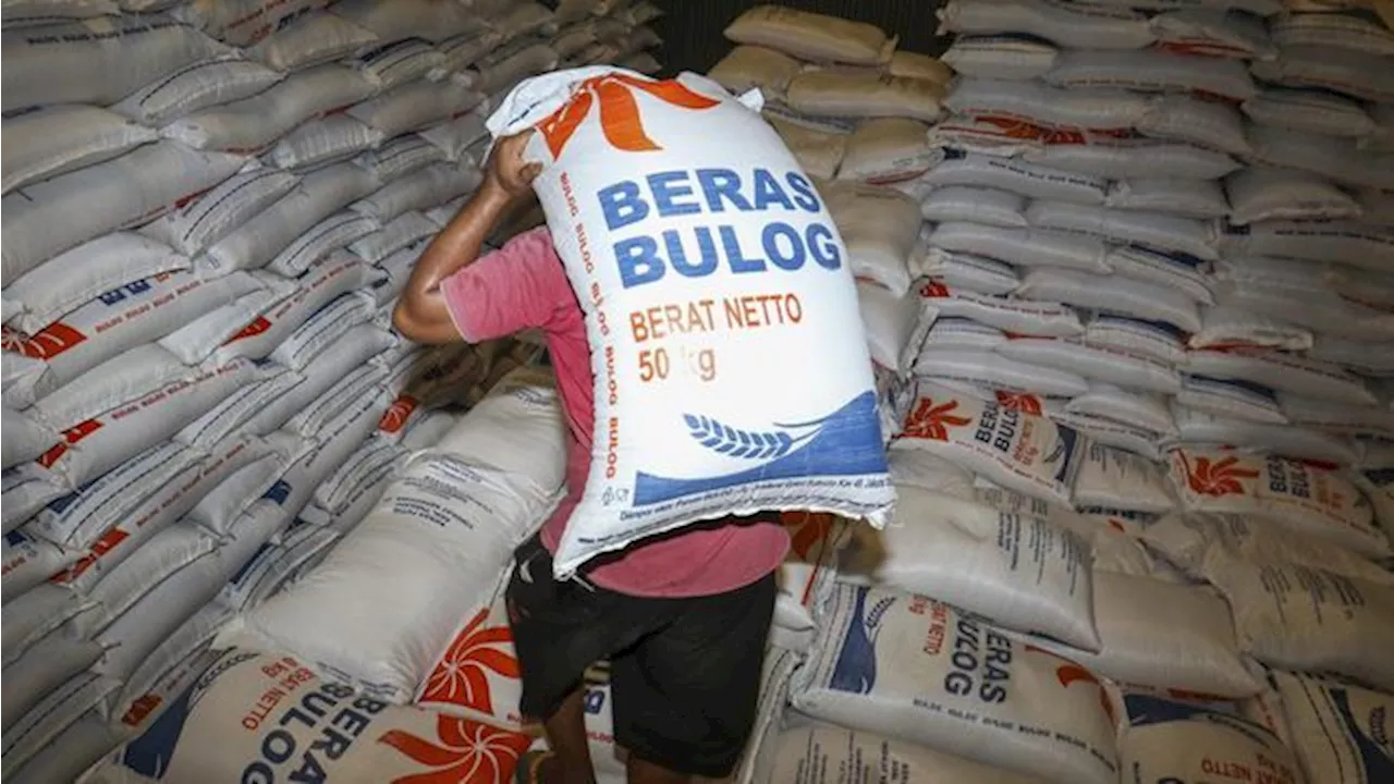 Bos Bulog Ungkap Stok Beras Terkini 1,45 Juta Ton