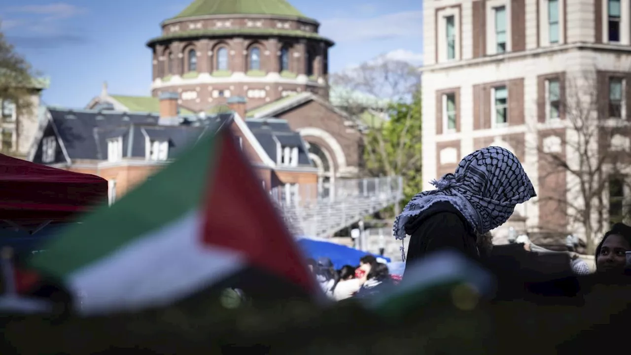 Alexander Stille: «Le proteste nei campus americani? C'è tensione, non violenza. Fuori i gruppi più estremisti. I politici soffiano sul fuoco»