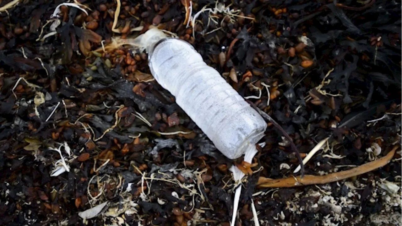 Ottawa plastic treaty: statistics paint grim picture of Canada's litter problem