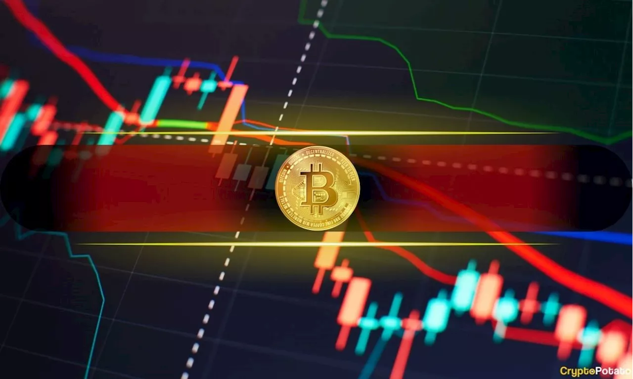 Here’s a List of Bitcoin (BTC) Price Pullbacks Since the Bear Market Bottom