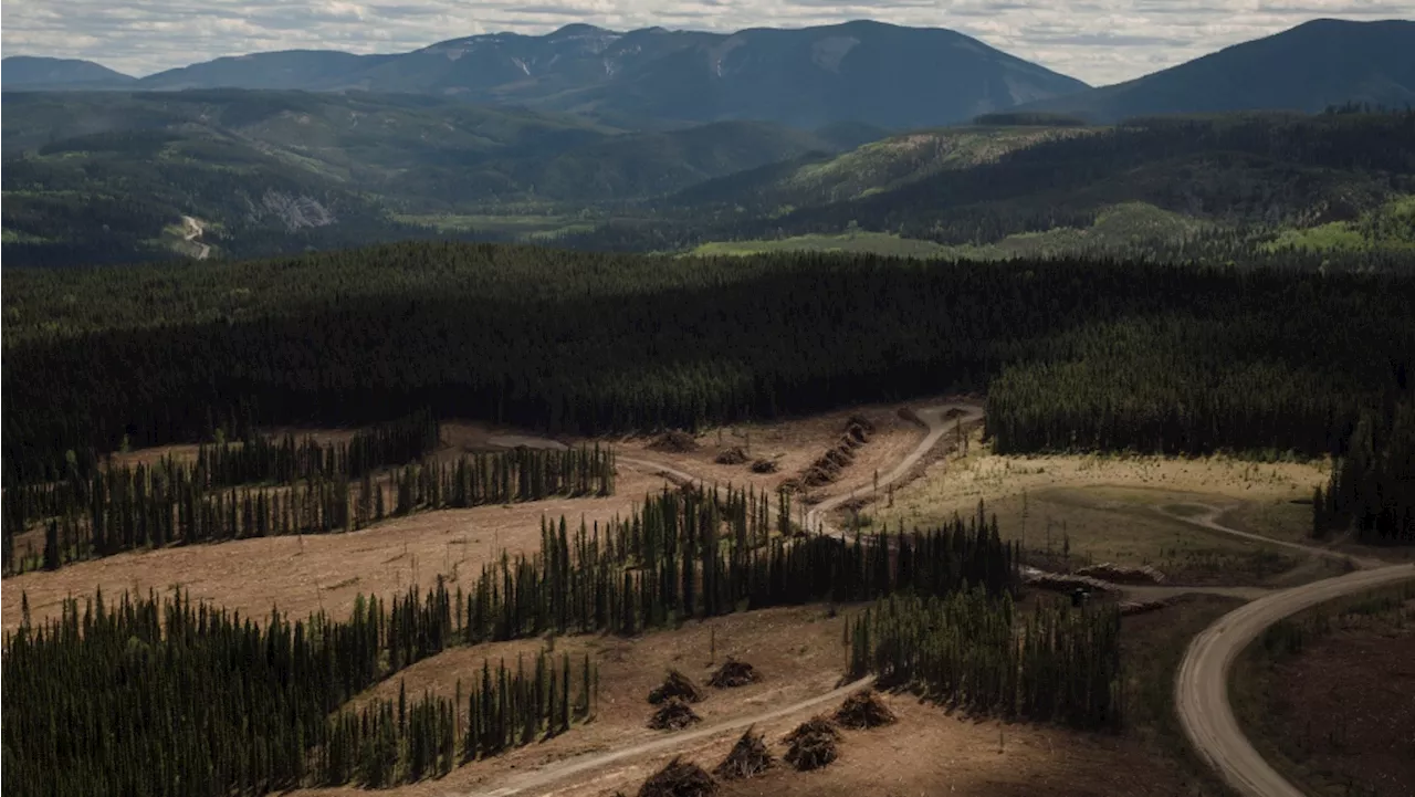 Alberta to appeal ruling ordering release of documents on coal mining in Rockies