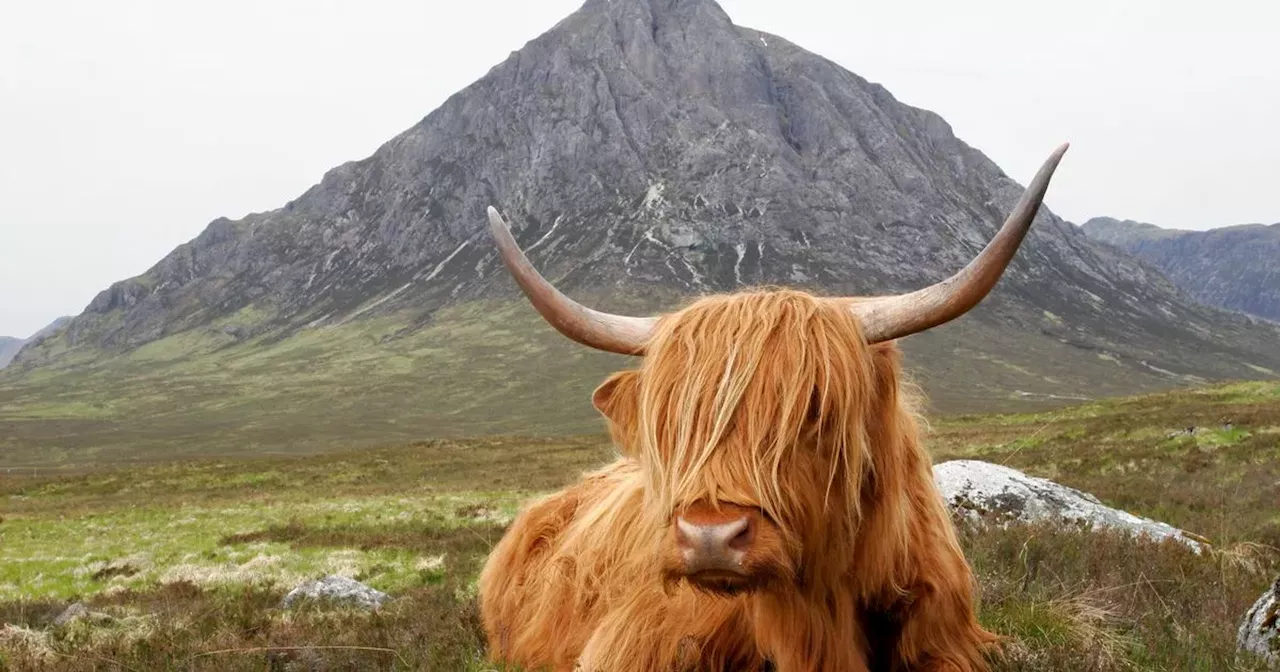 11 reasons why tourists choose to visit Scotland revealed in new list