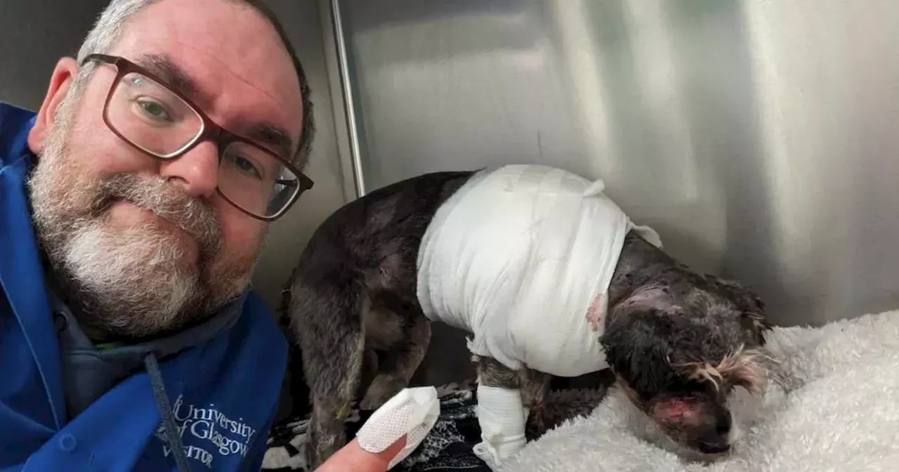 Dog owner in A&E after vicious attack thought pet would die in his arms