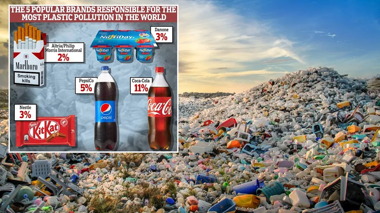 Revealed: The 5 popular brands responsible for the most plastic pollution in the world