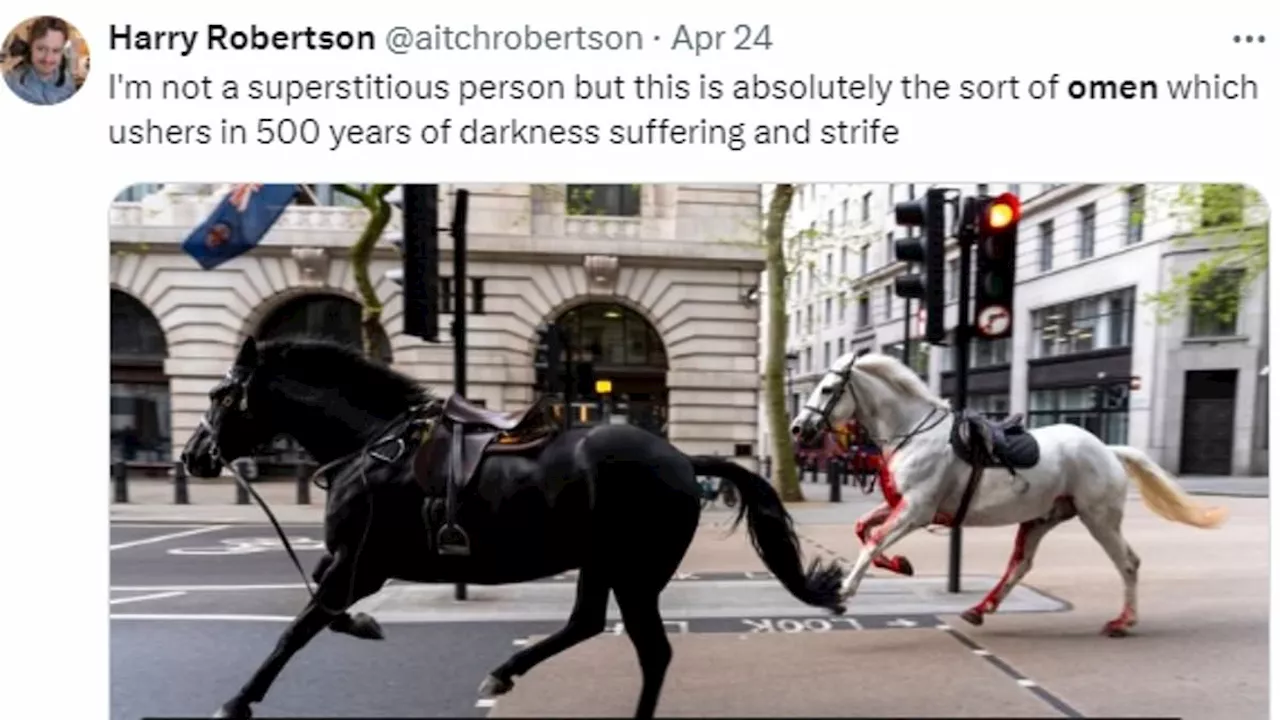 Social media users claim rampaging Household Cavalry horses are an 'omen'