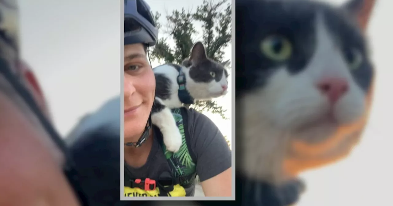 'The evidence is pretty compelling': Owner of cat killed in Longmont disappointed after no arrests were made