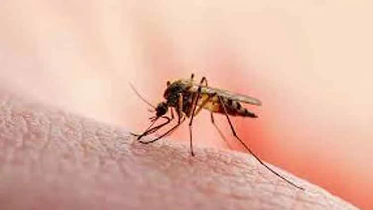 President Zardari stresses joint efforts to control Malaria