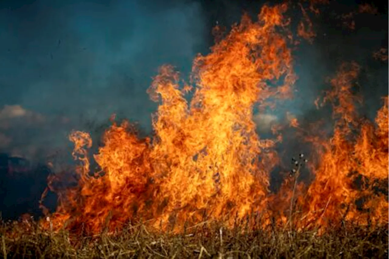 Mom distributes air quality monitors after 9-year-old’s asthma death during wildfires