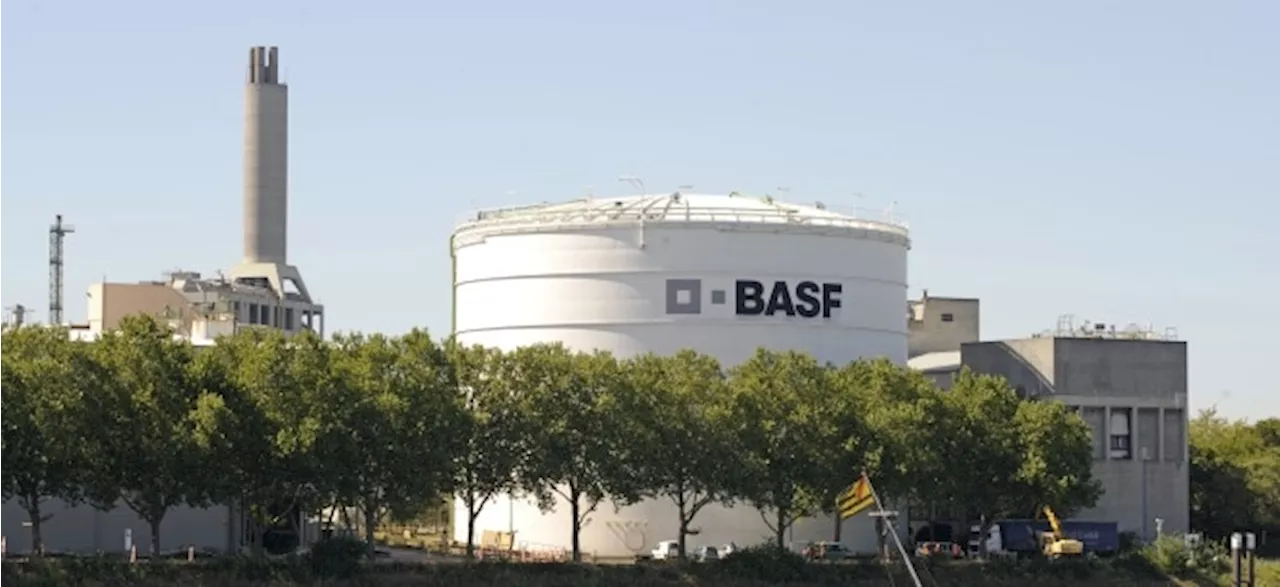 BASF-Aktie etwas tiefer: BASF verzeichnet in Q1 Umsatzeinbruch - Gewinn trotzdem höher als erwartet