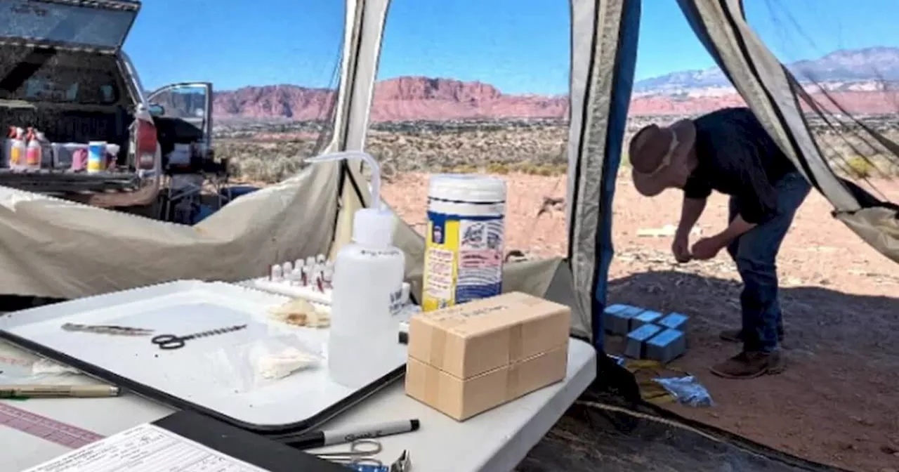 Finding fungus: Scientists investigate ‘Valley Fever’ in southern Utah