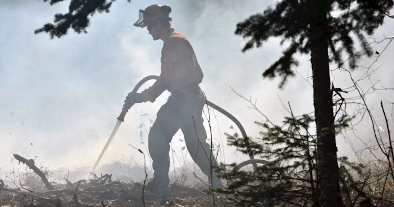 Winnipeg crews respond to football field-sized wildland fire in Transcona