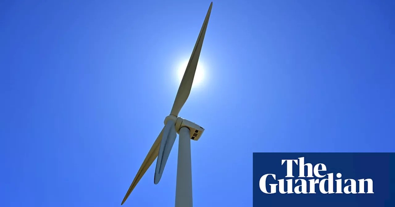 Tanya Plibersek rejects claims renewable projects are being held up by approval delays