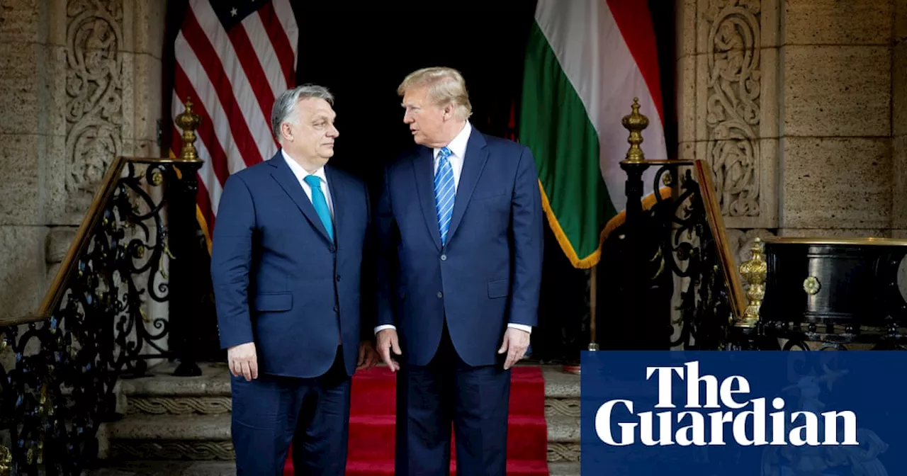 ‘Waiting for Trump’: Viktor Orbán hopes US election will change his political fortunes