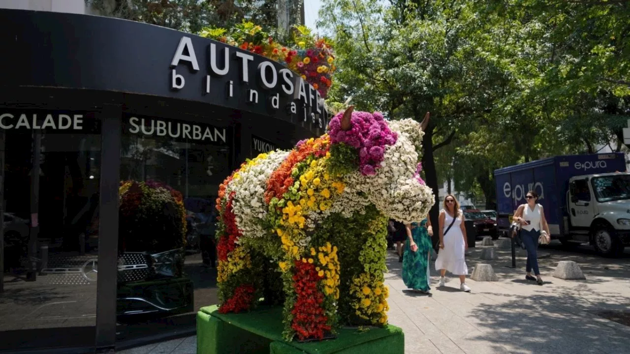 ¡Llegan las Flores a Polanco! Conoce todos los detalles sobre el festival