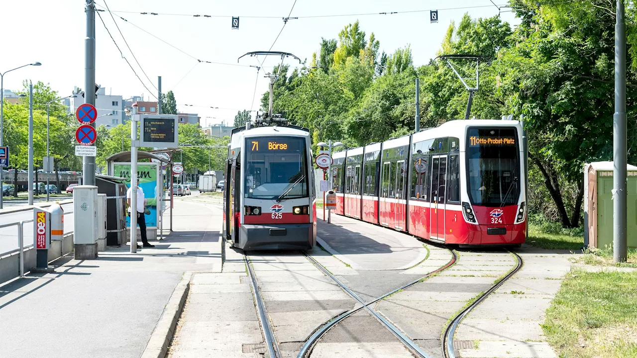 Mehr Regionalbusse statt langem Warten auf 72er-Linie