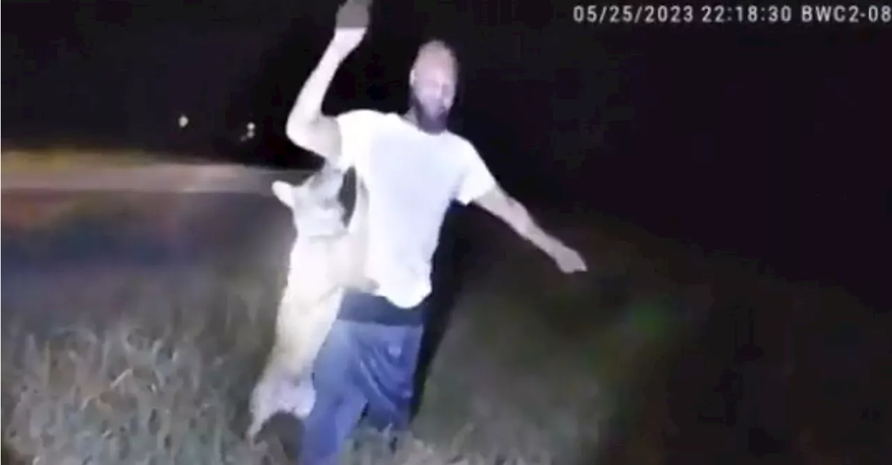 Police Dog Ordered To Attack An Unarmed Black Man In Front Of His 9-Year-Old Son