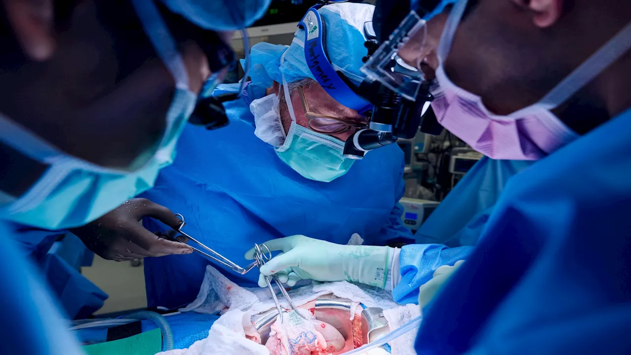 First combined heart pump, pig kidney transplant in same patient successful