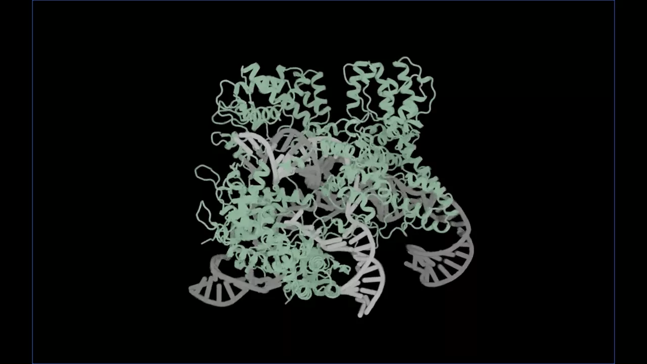 OpenCRISPR-1: World’s first open-source AI scissor edits human genes