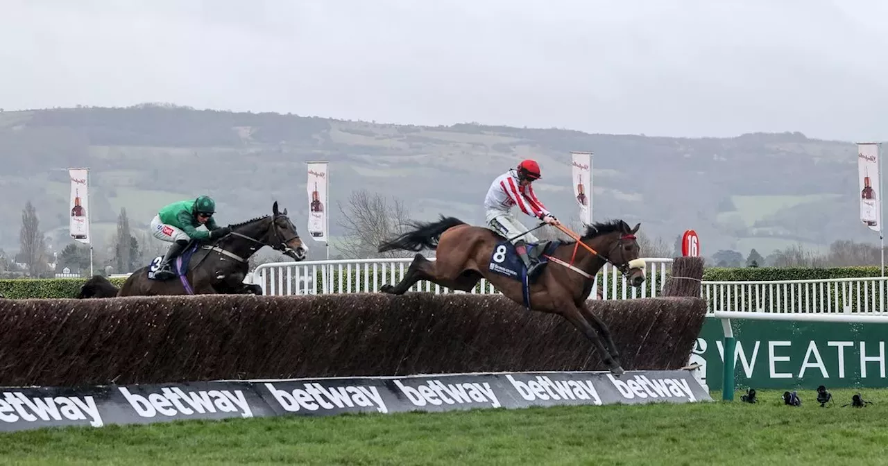 Horse that took bookies to the cleaners at Cheltenham set for last seasonal run