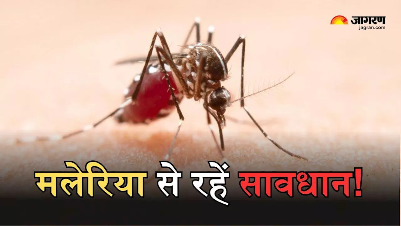 World Malaria Day 2024: मलेरिया का वक्त रहते पहचान है ही जीवन को वरदान, इन लक्षणों से लगाएं इसका पता