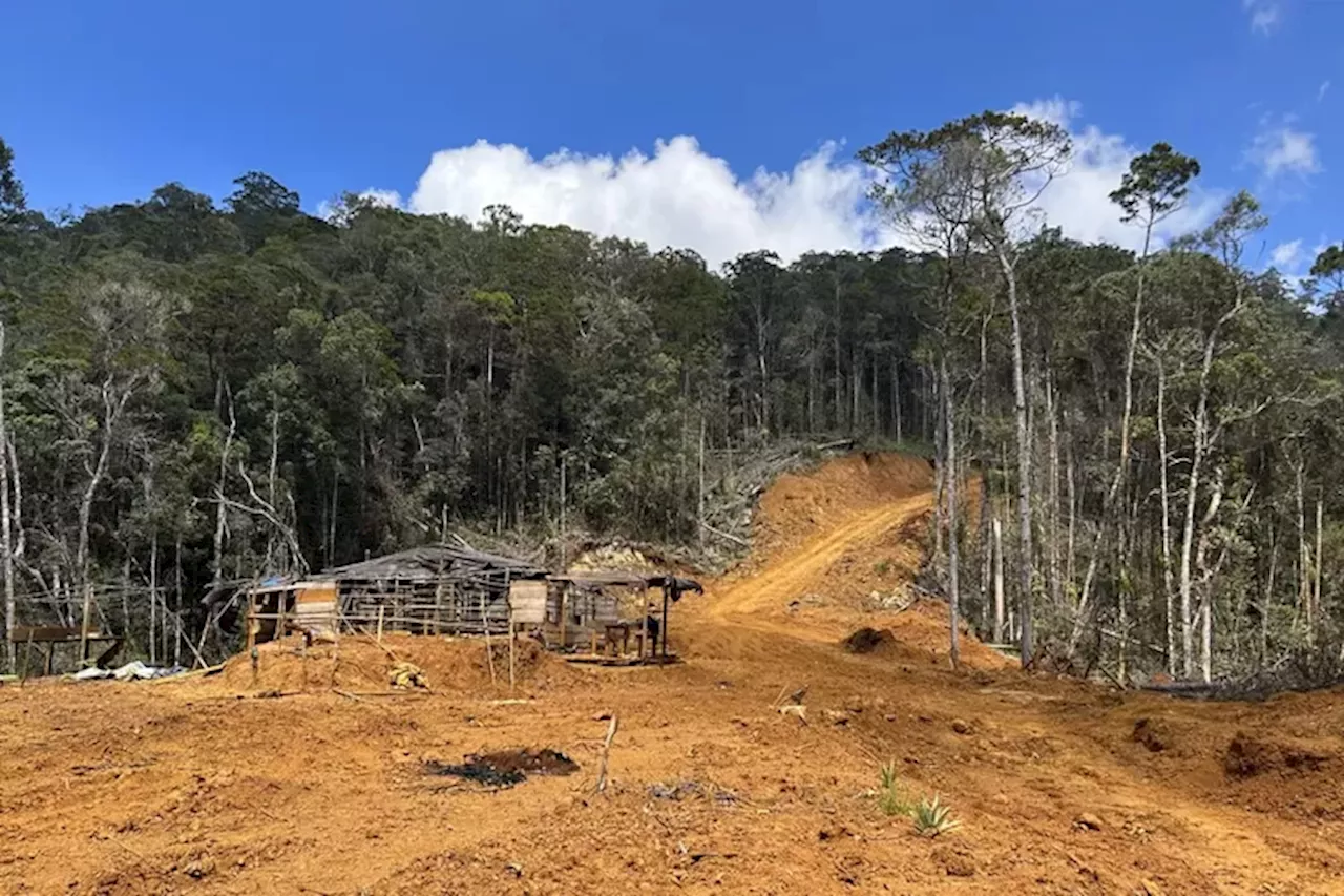 Pencemaran Segea dan Sungai-sungai di Teluk Weda Kian Parah, Kapan Pemerintah Mau Mulai Serius Tangani?