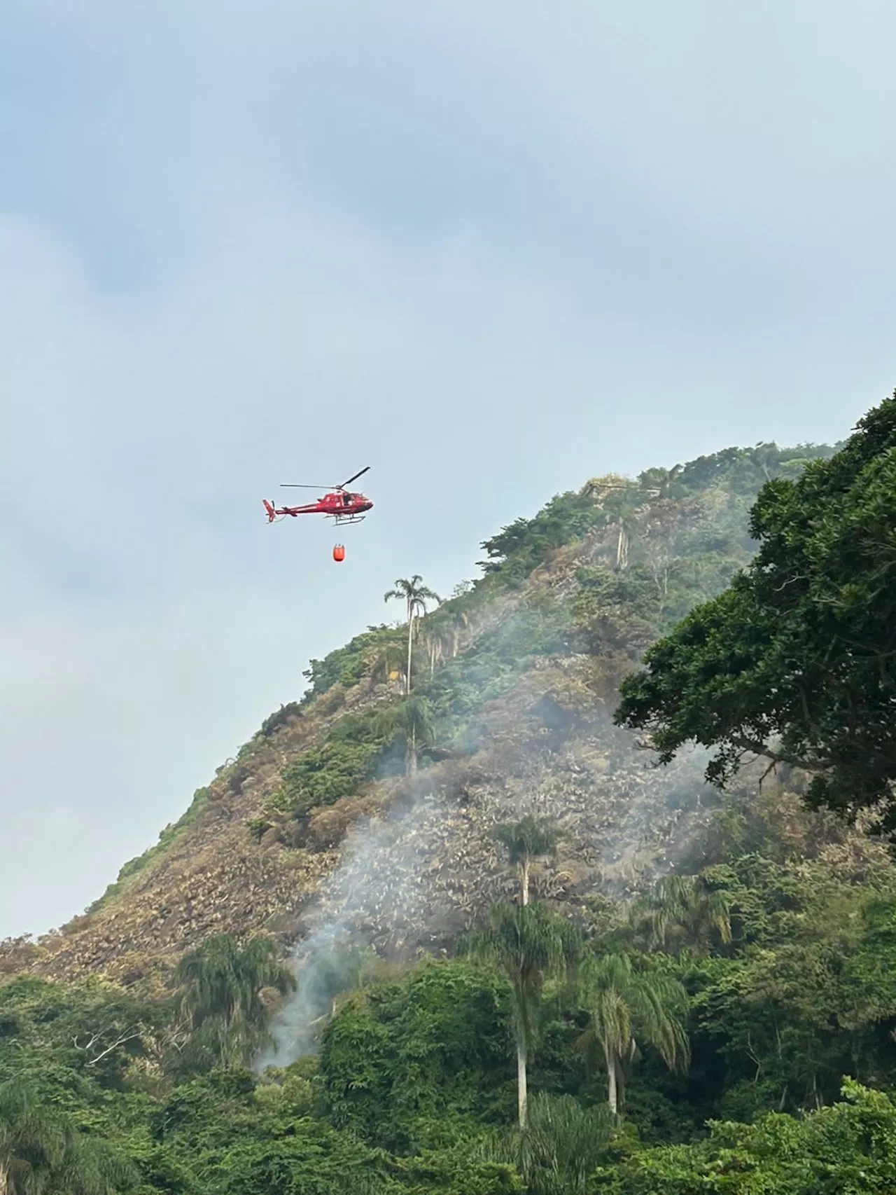 Com drones e helicópteros, bombeiros combatem incêndio provocado por balão em área de preservação em Niterói; veja vídeo