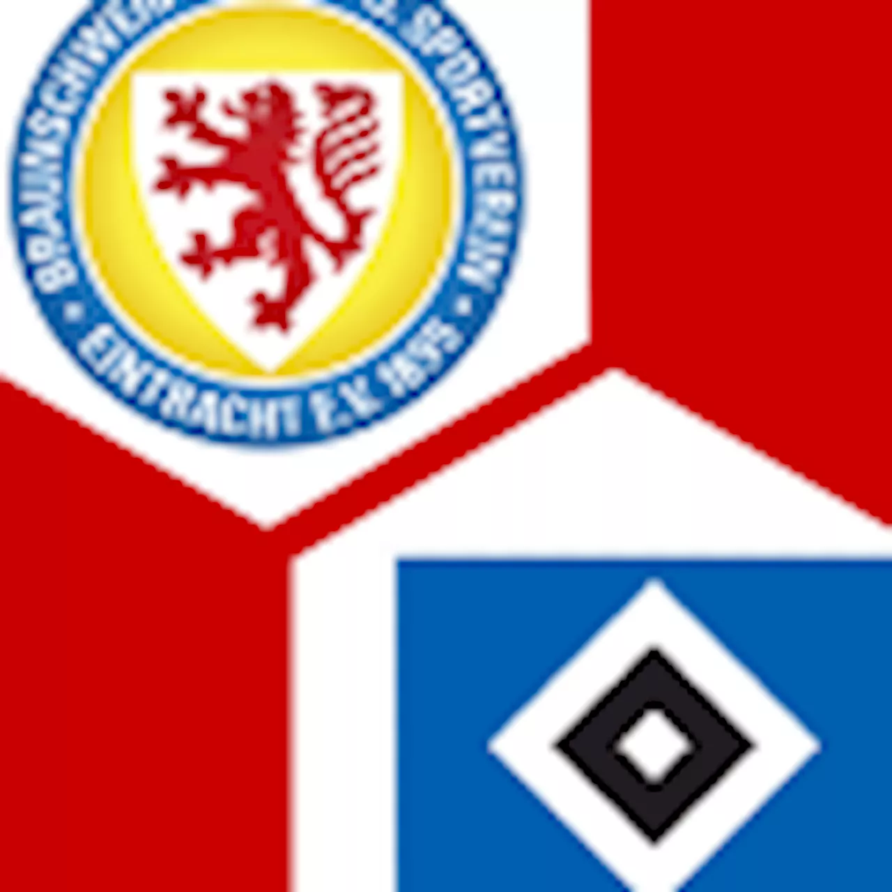 Eintracht Braunschweig - Hamburger SV : | 31. Spieltag