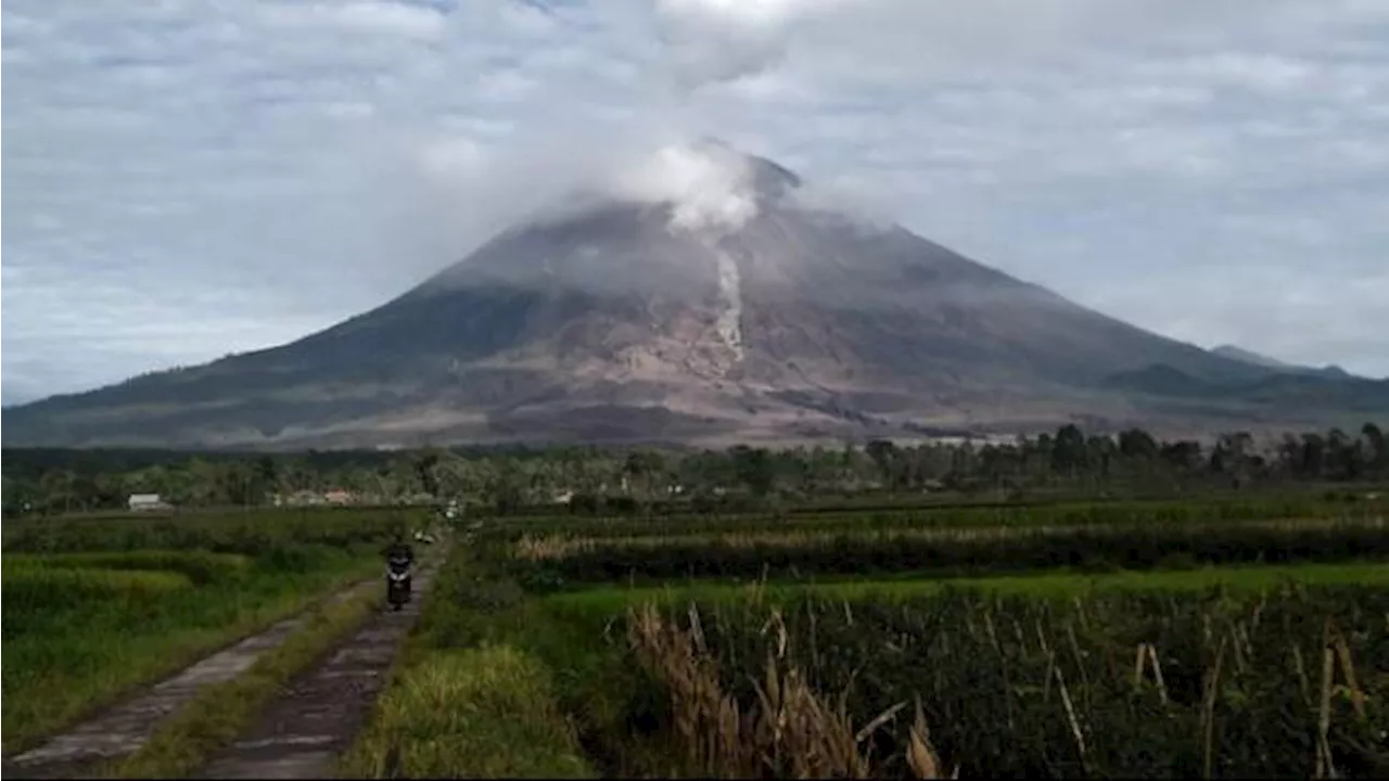 Gunung Semeru Erupsi 4 Kali Hari Ini, Muntahkan Abu Vulkanik hingga Ketinggian 1.000 Meter