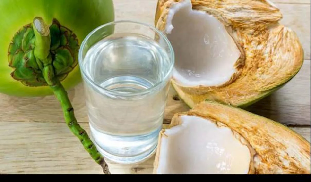 Minum Air Kelapa Muda Ternyata Bisa Bantu Sembuhkan 11 Penyakit Ini, Apa Saja?