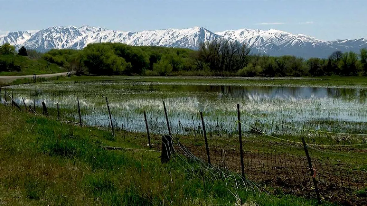 'Sacrifices' will need to be made from Bear River water supply to help Great Salt Lake