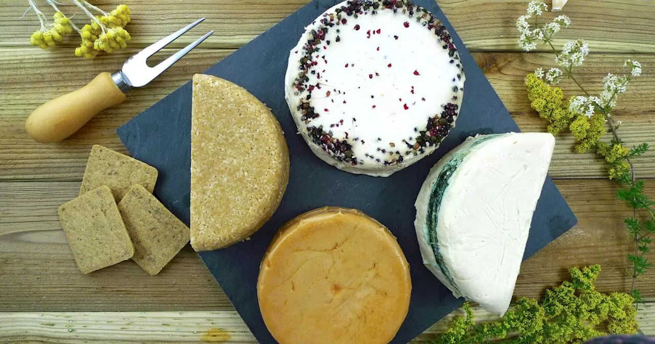 Listerien erstmals in veganem Käse nachgewiesen