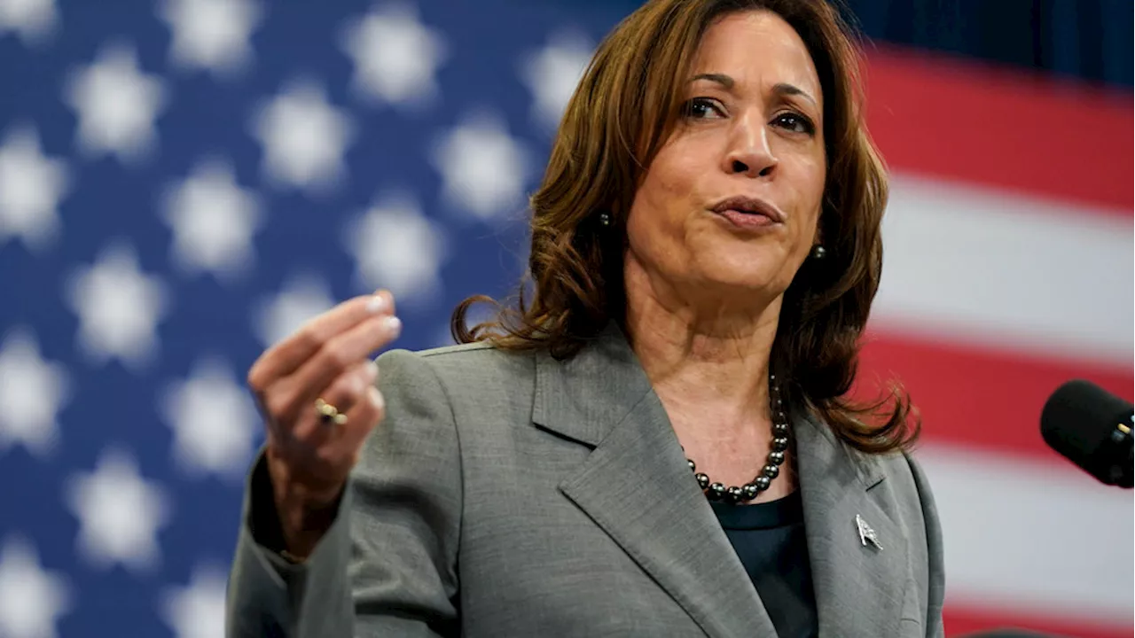 Vice President Kamala Harris' Secret Service agent removed after behavioral incident