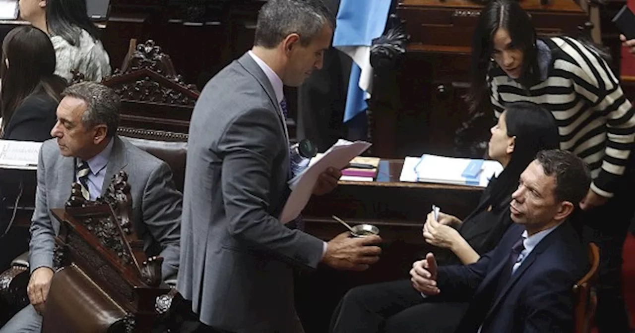 Menem convocó las comisiones para ley ómnibus sin garantías de los radicales ni Pichetto