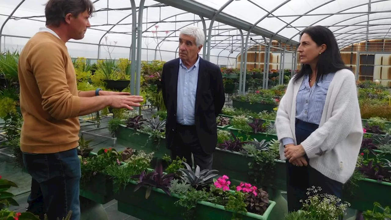 Tarbes : redécouvrez le pouvoir des fleurs et des végétaux aux serres municipales !